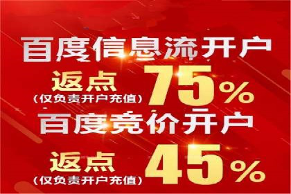 百度SEO推广策略：如何快速提升网站排名？——案例详解